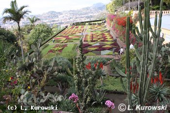 Ogród botaniczny na Maderze